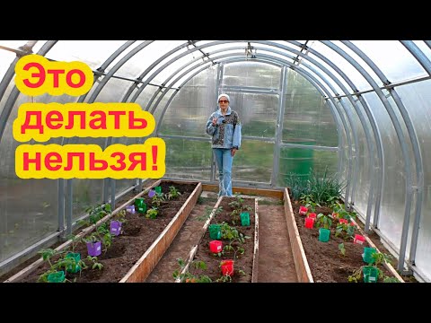 Видео: Что нельзя делать с высаженными растениями