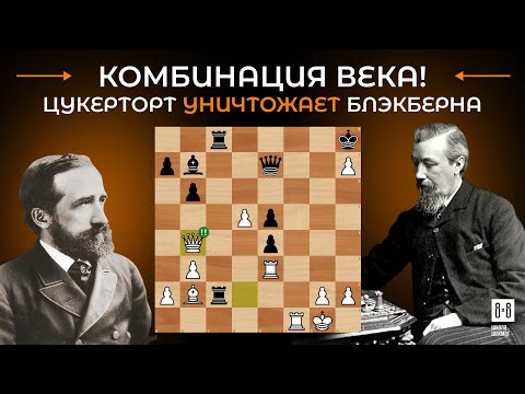 Видео: КОМБИНАЦИЯ ВЕКА ! Цукерторт УНИЧТОЖАЕТ Блэкберна