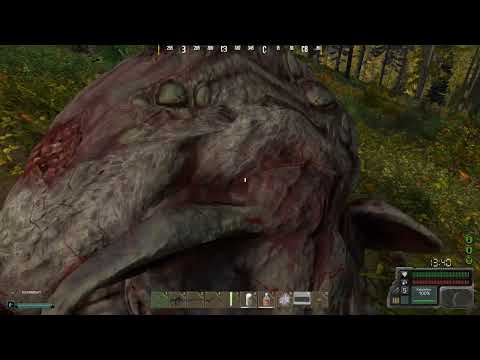 Видео: Whisper Путь до бара после перерыва.