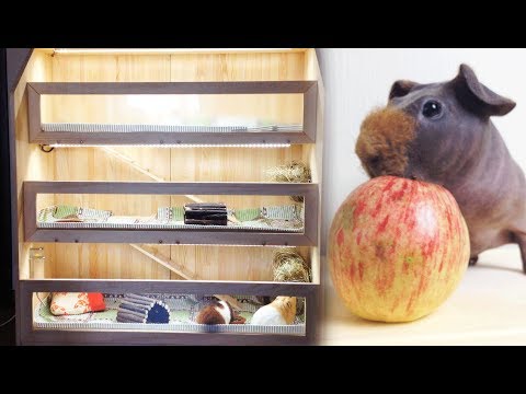 Видео: ЧТО СЛУЧИЛОСЬ СО СТЕЛЛАЖОМ?