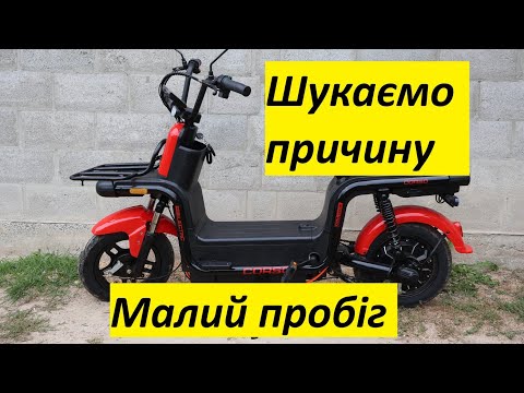 Видео: Corso Rider - щось не так з ним