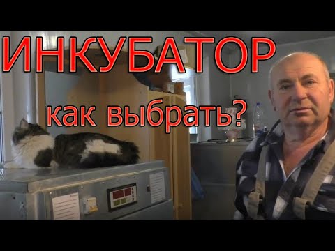 Видео: Как выбрать инкубатор? | Какой инкубатор купить?
