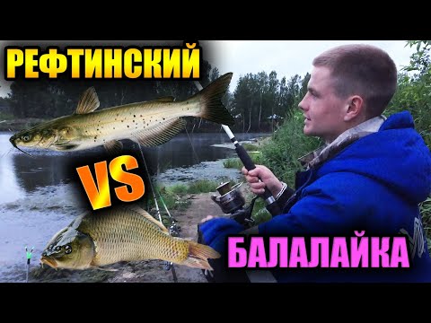 Видео: Рефтинское водохранилище. Балалайка. Рыбалка с ночевой на фидер и донку.
