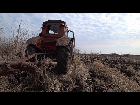 Видео: Поднимаем целину ,первый огород  на Т-40 АМ