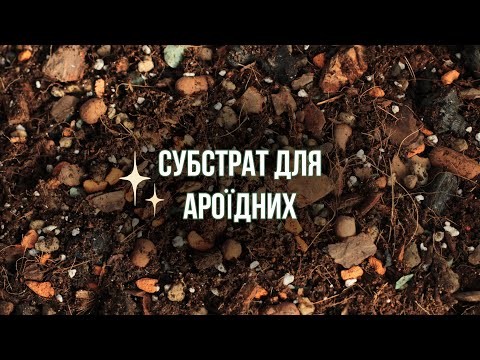 Видео: СУБСТРАТ ДЛЯ АРОЇДНИХ #tutorial #diy