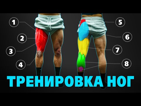 Видео: Тренировка НОГ. Упражнения для НОГ и ЯГОДИЦ. Сплит "ЖИМЫ, ТЯГИ, НОГИ"