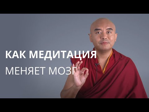 Видео: Как медитация меняет мозг — Йонге Мингьюр Ринпоче