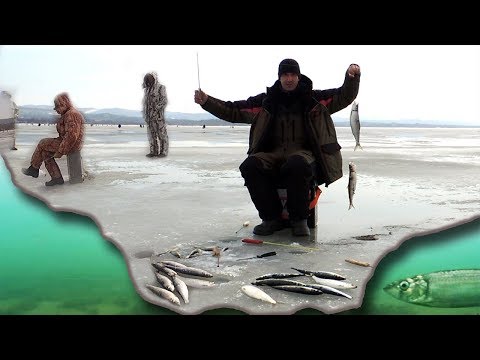 Видео: Рыбалка весной на САМОДУР и поплавок. Меня АТАКОВАЛ косяк СЕЛЕДКИ!