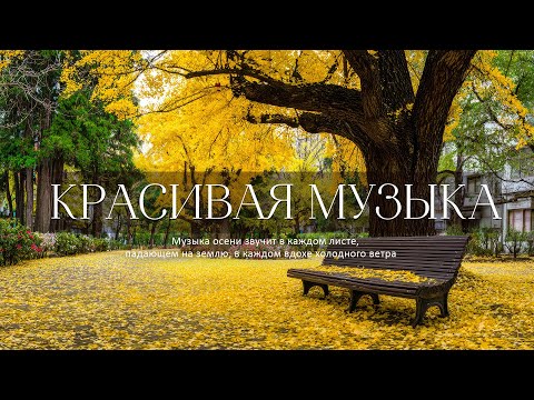 Видео: Музыка Для Души🍁 Целительная музыка для вашего сердца с нежными осенними мелодиями