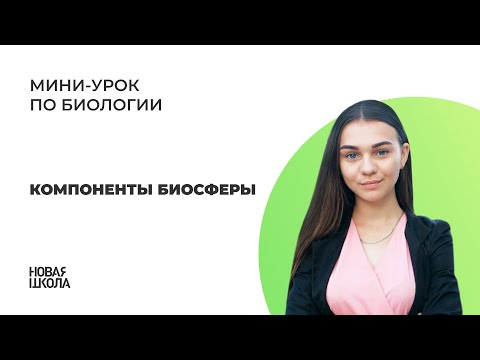 Видео: НШ | Биология. Компоненты биосферы