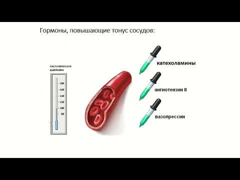 Видео: Тонус сосудов