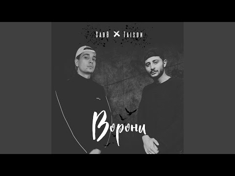 Видео: Ворони