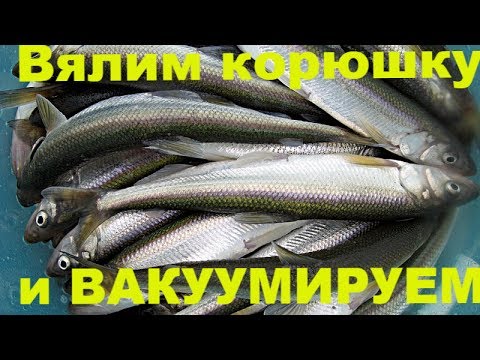Видео: Вялим корюшку и вакуумируем