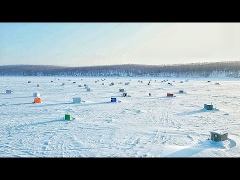Видео: СОТНИ ДОМИКОВ НА ЛЬДУ ,КОГО ТАМ ЛОВЯТ?