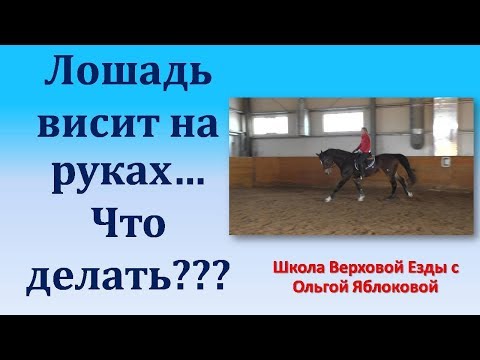Видео: ЛОШАДЬ ВИСИТ НА РУКАХ... ЧТО ДЕЛАТЬ???