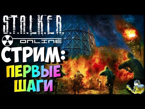 Видео: STALKER ONLINE - Первые шаги