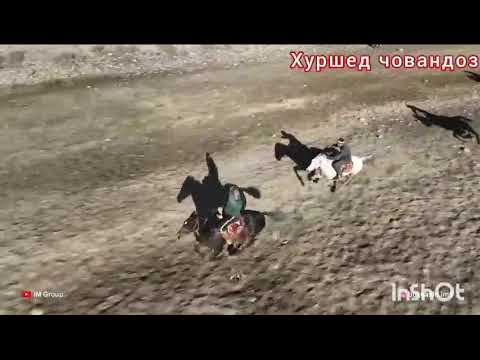 Видео: Баромади Хуршеди Сангвор бо аспи Чумабой палвон дар н Нуробод 🇹🇯