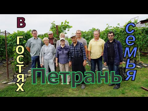 Видео: Виноградники Беларуси . г.Пружаны . Виноградарь Петрань Мария Афанасьевна .