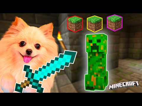 Видео: НАПАЛ КРИПЕР ! ДЕЛАЮ РЕМОНТ ДОМА ! ОТПРАВИЛАСЬ В ШАХТУ МАЙНКРАФТ | MINECRAFT
