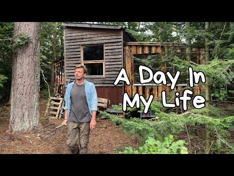 Видео: Типичный рабочий день за пределами крысиных бегов. Работаем с самодостаточностью.