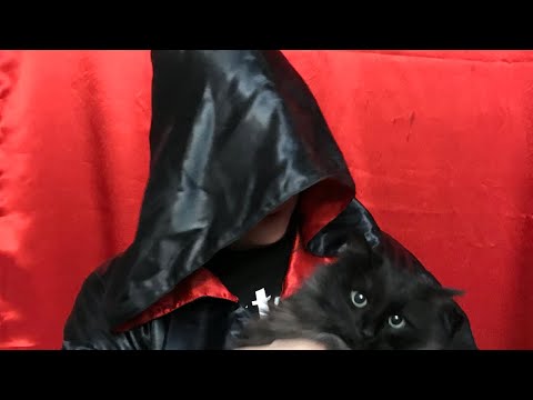 Видео: Духи-помощники в магии (ФАМИЛЬЯРЫ). Уроки колдовства #153