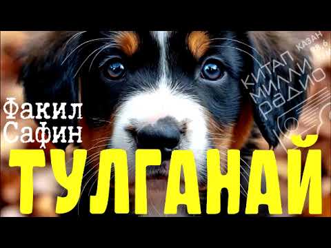 Видео: Бер зур мәхәббәт тарихы... Факил Сафин "Тулганай"