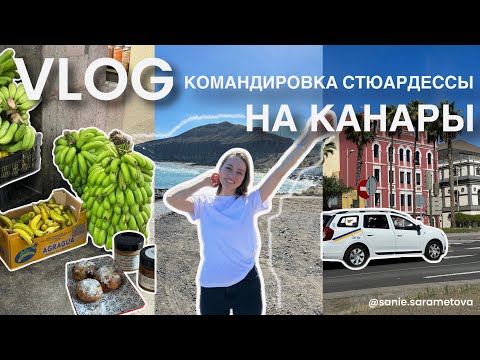 Видео: Командировка в Испанию, анализы в Стамбуле, цены