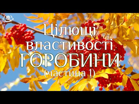 Видео: Цілющі властивості ГОРОБИНИ (частина 1)