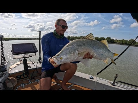 Видео: БОЛЬШАЯ СОЛЕНАЯ БАРРАМУНДИ