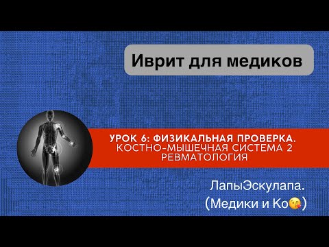 Видео: Урок 6: Продолжение. Костно-мышечная система.