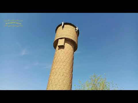 Видео: Воркута. 30.06.25. Ж/д район.