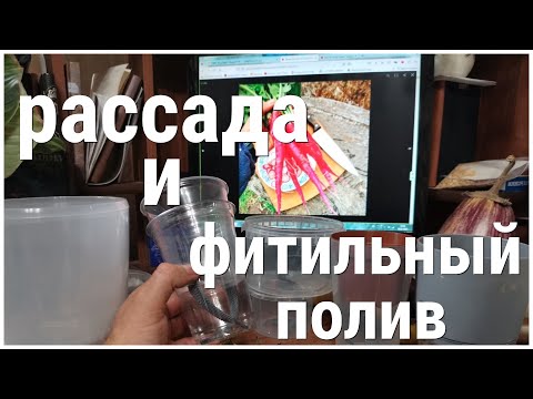 Видео: Качество РАССАДЫ ПЕРЦА улучшится в ДВА РАЗА! Теперь и Вы рассаду ПЕРЦА будете выращивать ТОЛЬКО ТАК