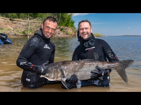 Видео: Подводная охота со "Скорпеной" часть №3