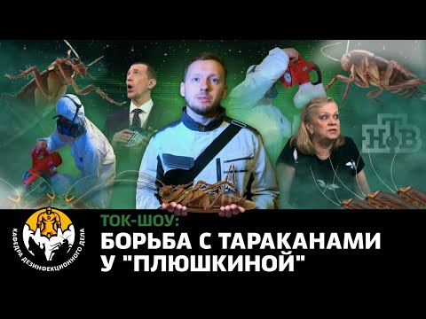Видео: Борьба с тараканами в квартире "Плюшкиной"