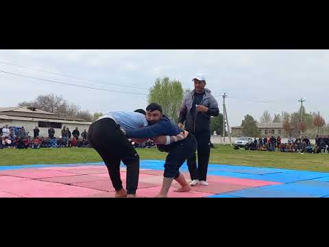 Видео: Наврӯз 2023с Зарафшон гӯштин (9)паҳлавон тошов сафаров ва Имомназар