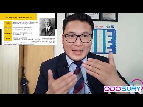 Видео: Багаар ажиллах ур чадвар, хүчирхэг багийг бүтээх нь