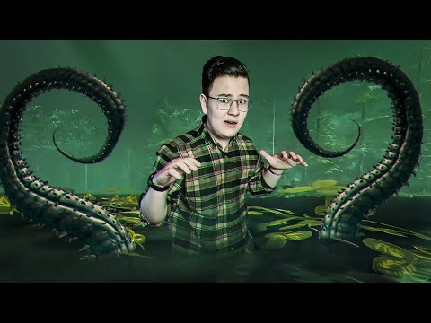 Видео: НЕ ШЕВЕЛИСЬ!