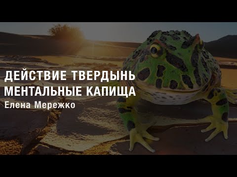 Видео: Действие твердынь и ментальные капища | Елена Мережко