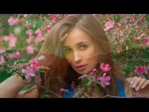 Видео:  "Черемшина"