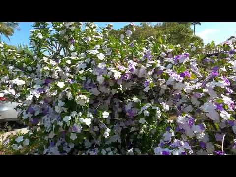 Видео: ЗАЧЕМ МОРОЗИТЬ ХЛЕБ И ВАРЕНЫЙ РИС? Как можно быть такими тупыми? Уть не пришёл