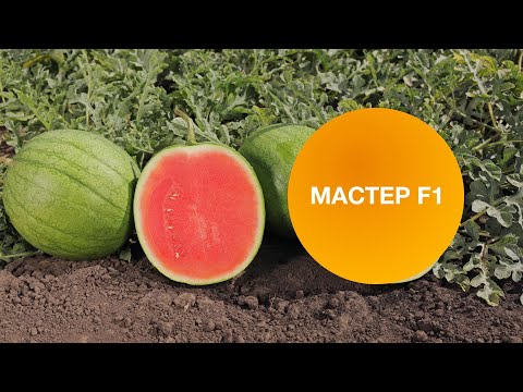 Видео: МАСТЕР F1 | Овощная Усадьба