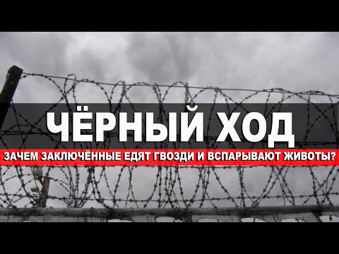 Видео: Чёрный ход. Зачем заключённые едят гвозди и вспарывают животы?