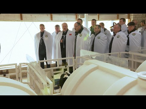 Видео: Лукашенко посетил сельхозпредприятие под Гродно с минским уровнем зарплат