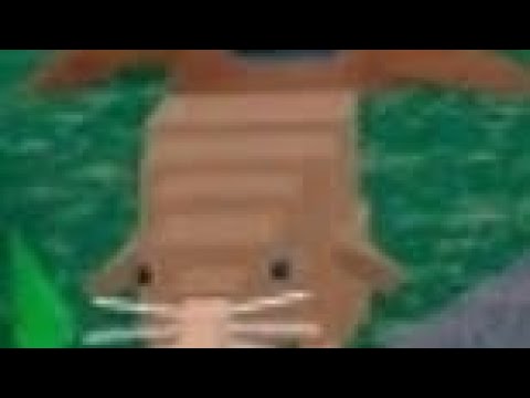 Видео: 😱Я ПАСТРОИЛА ЗООПАРК в 99 НОЧЕЙ В ЛЕСУ ПРИРУЧИЛА ЗАЙЧИКОВ в ЗООПАРК ВИД ЗООПАРКА HALLOWEN