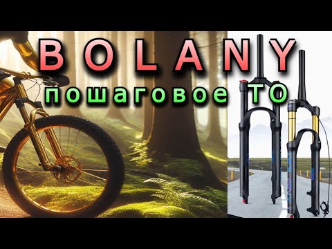 Видео: BOLANY Обслуживание