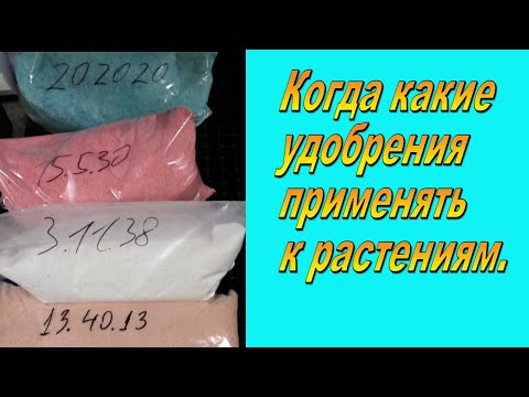 Видео: Основные удобрения, которые будут нужны для выращивания растений.