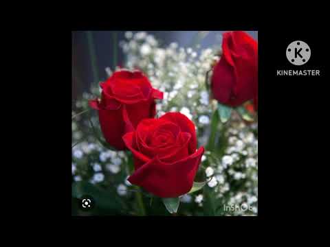 Видео: Жалил Садыков "Эненин жүрөгү"