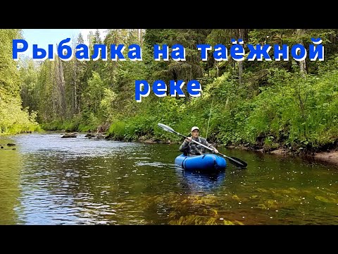 Видео: Рыбалка на таёжной реке. Одиночный сплав.