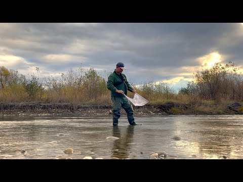 Видео: Тепер ЛОВИТИ РИБУ ТРЕБА ТАК. Риболовля На Пруті в кінці жовтня