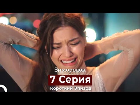 Видео: Зимородок 7 Cерия (Короткий Эпизод) (Русский дубляж)